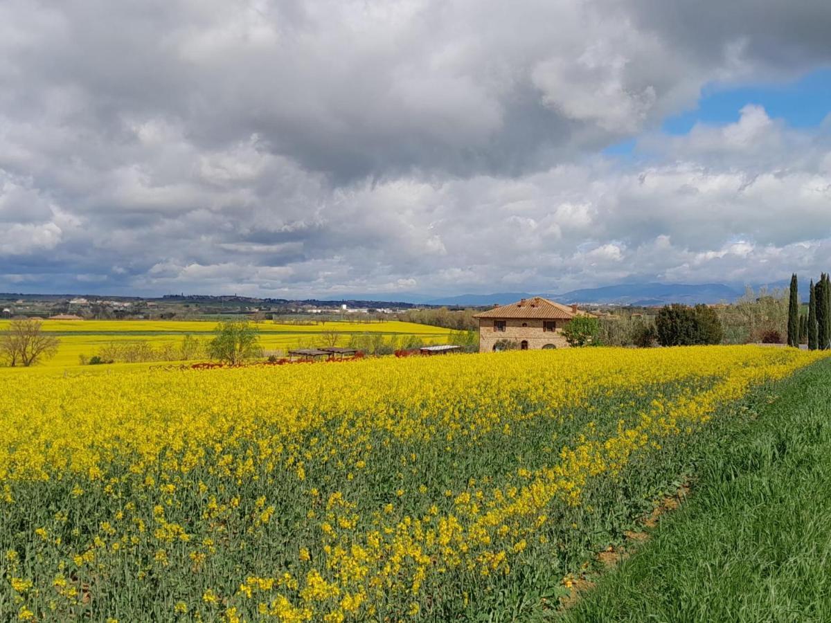 Podere Molinaccio Panicale Exterior photo