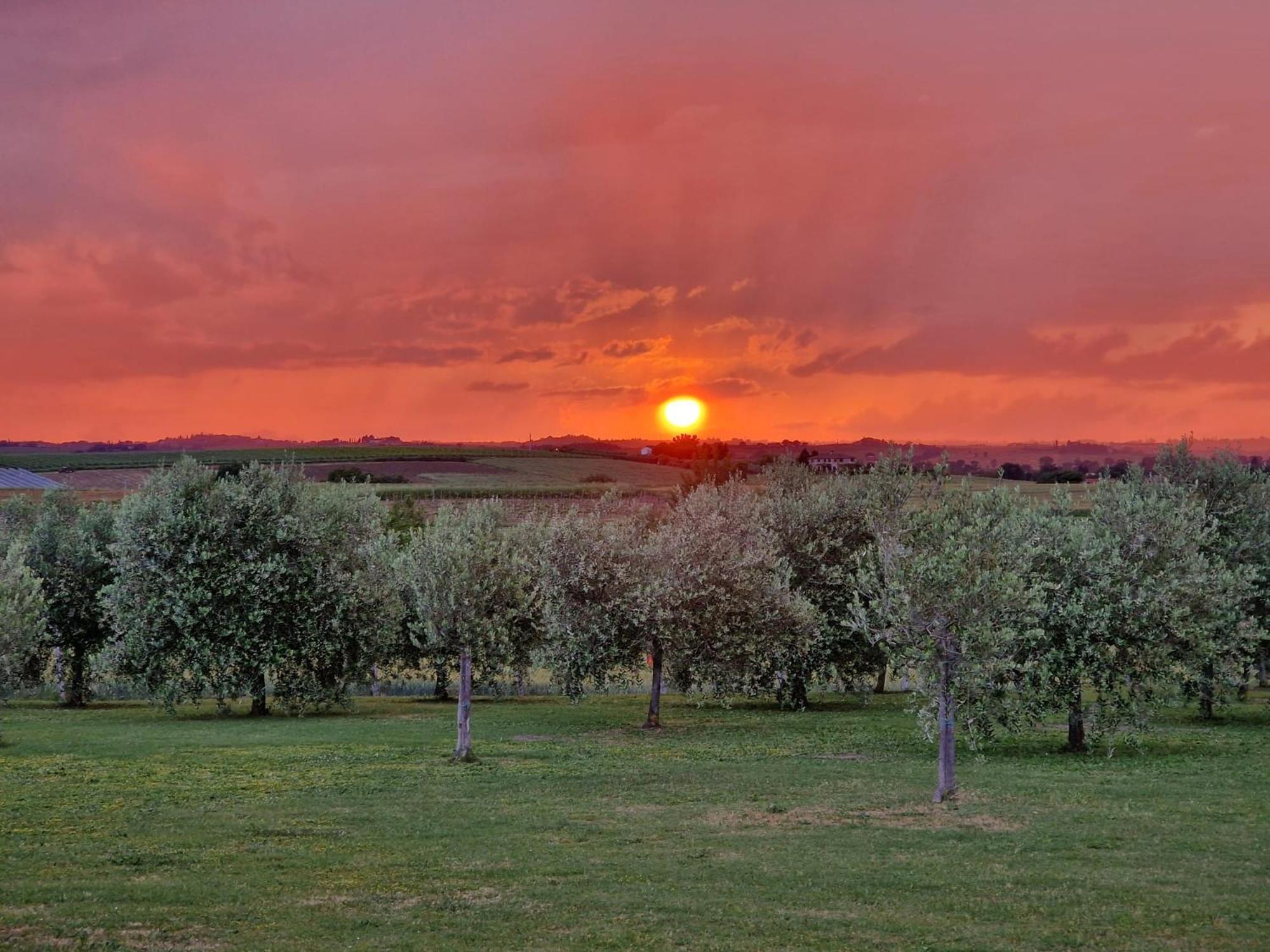 Podere Molinaccio Panicale Exterior photo